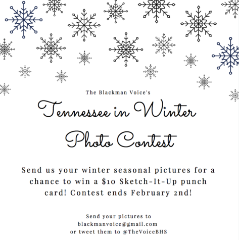 Winter In Tennessee Photo Contest!