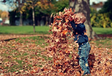 5 Fun Things to do on Fall Break