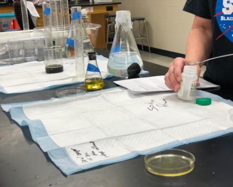 Science Day: Bailey Eshelman’s Capstone