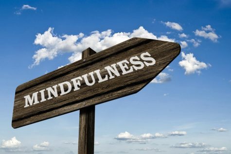 Dialectical Behavior Therapy