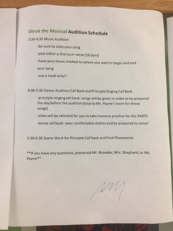 Audition for Shrek the musical