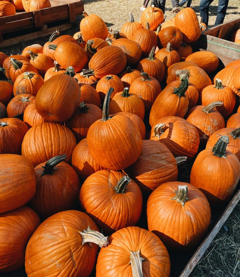 Walden Farms is a pumpkin patch in Smyrna, Tennessee.