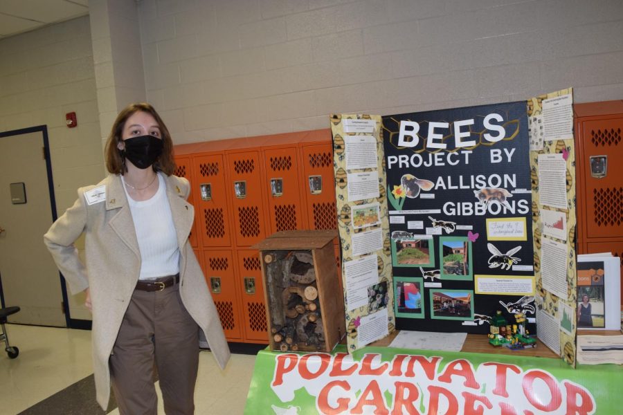 Allison Gibbons researched Bees Population decline.