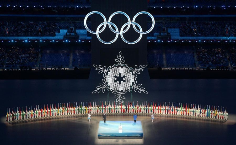 Many changes were made to the Winter Olympics this year.