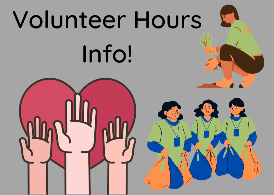 Information+on+Volunteer+Hours