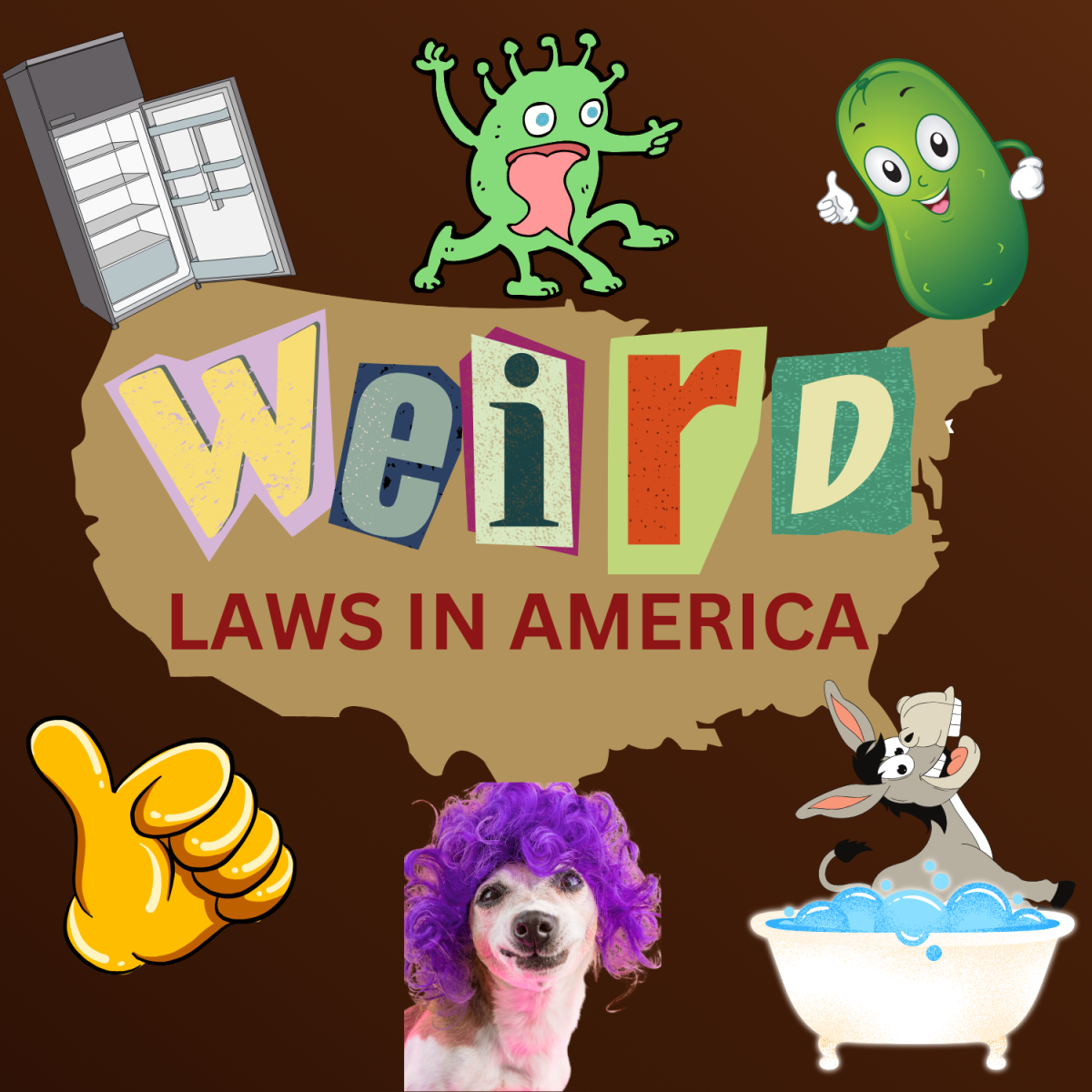 Weird Laws in America