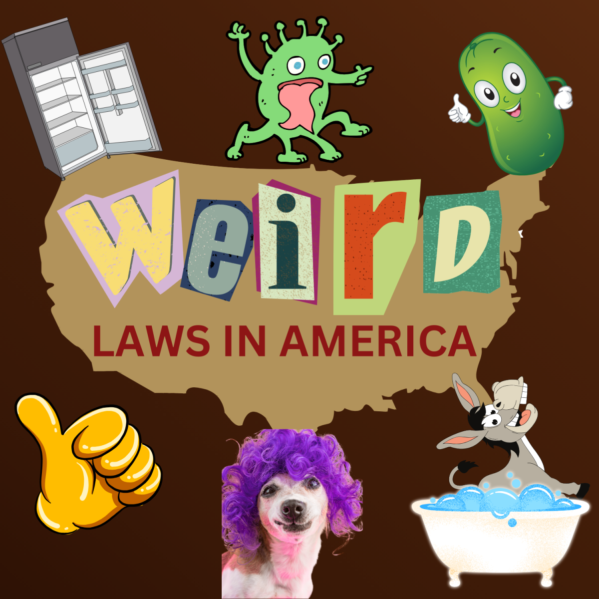 Weird laws in America