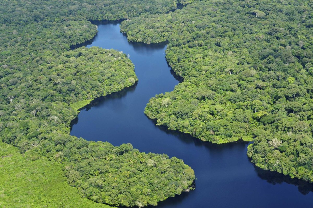 The+Amazon+River+is+Threatened+by+Deforestation+and+Global+Warming