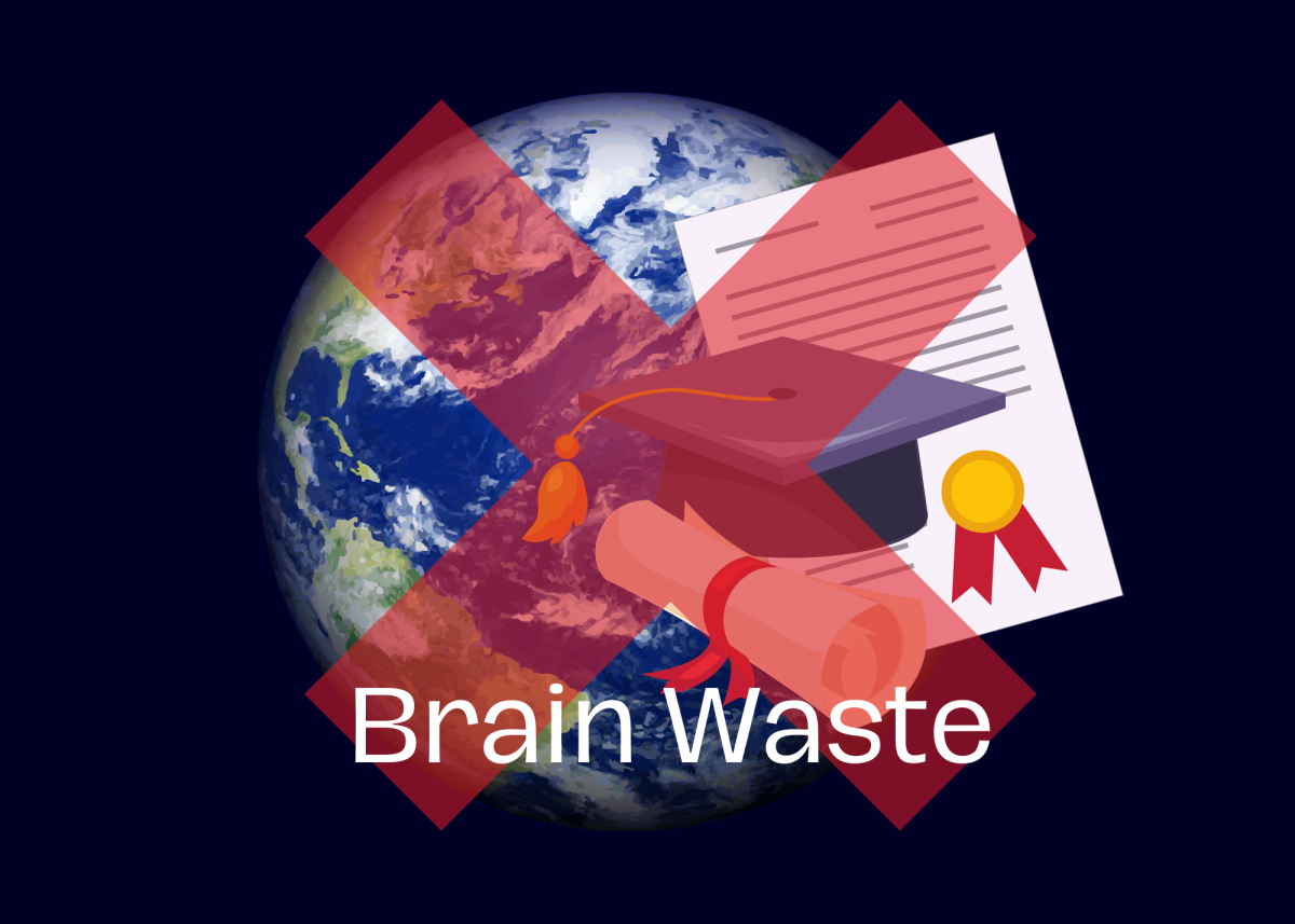 Brain Waste: The Skilled Immigrant’s Struggle