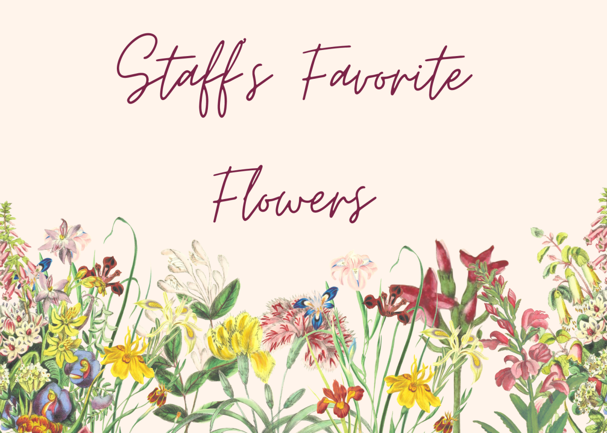 J-Staffs+Favorite+Flowers