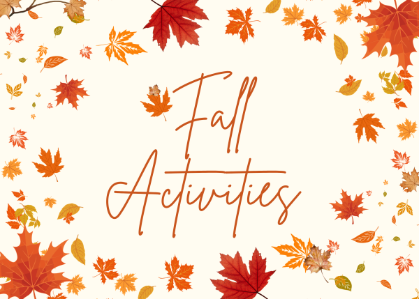 Fall Activities 