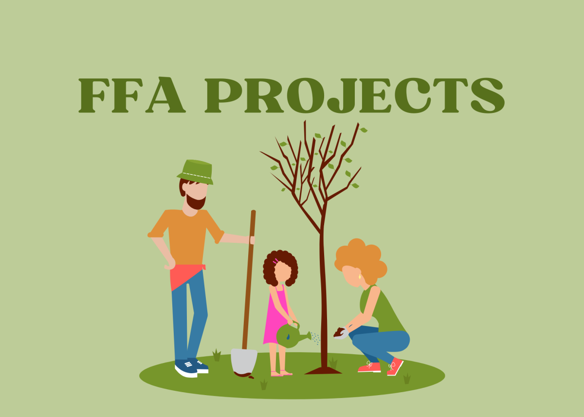 FFA PROJECTS