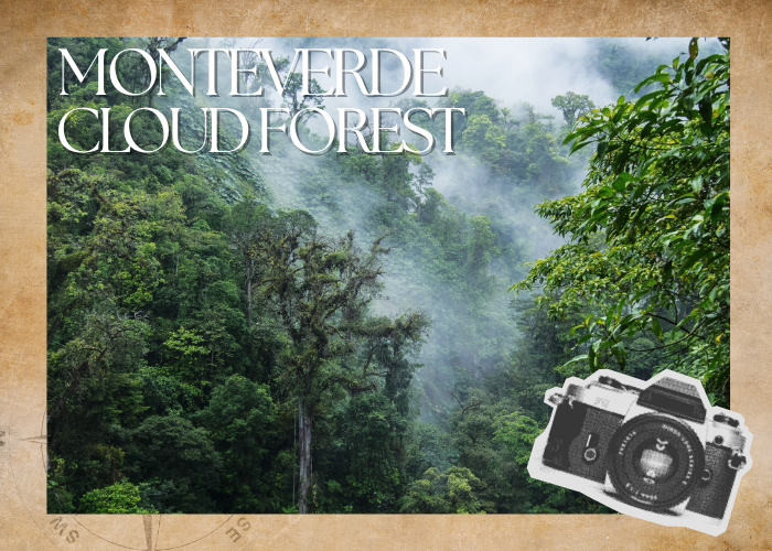 Wonders of The Monteverde Cloud Forest