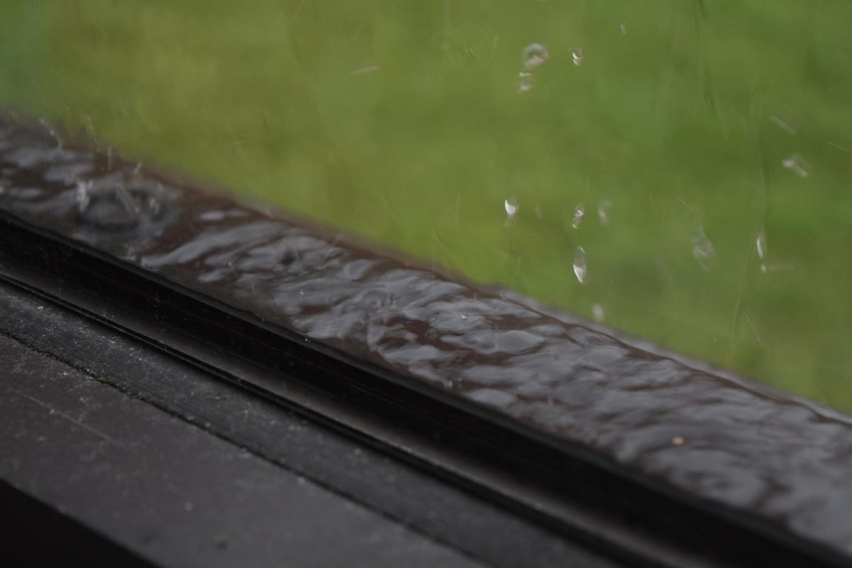 rainy window sill
