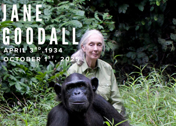 Jane Goodall’s Death