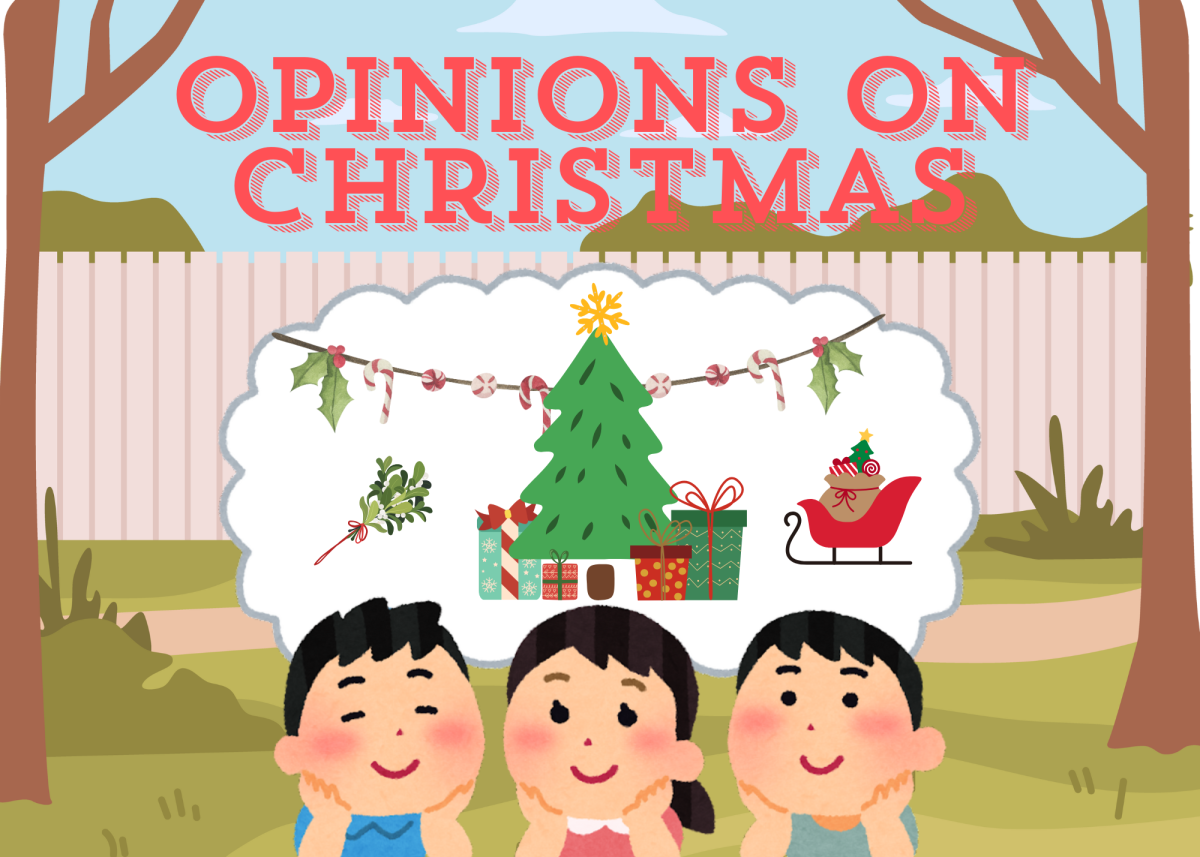 Opinions on Christmas